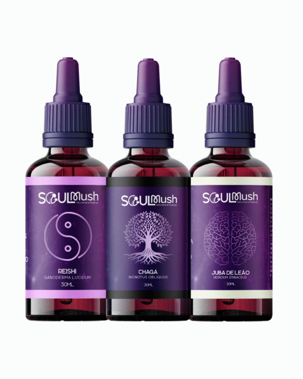 Kit 3 unidades de 30ml - Juba de Leão + Reishi + Chaga